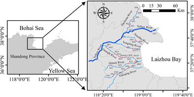 Fractionation of toxic metal Pb from truly dissolved and colloidal phases of seaward rivers in a coastal delta